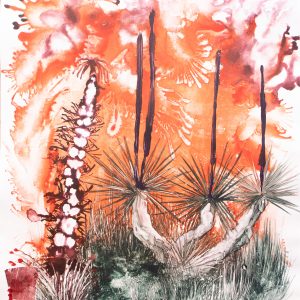 The Depth of the Karoo